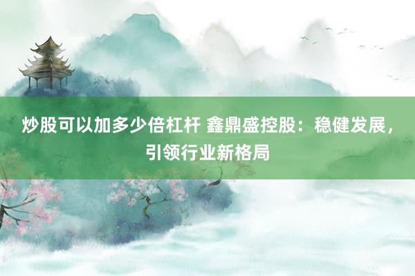 炒股可以加多少倍杠杆 鑫鼎盛控股：稳健发展，引领行业新格局