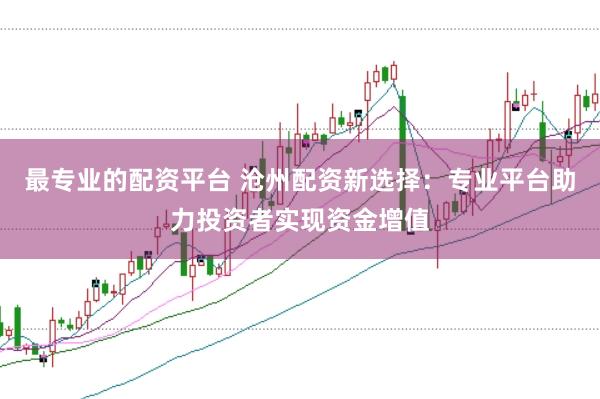 最专业的配资平台 沧州配资新选择：专业平台助力投资者实现资金增值