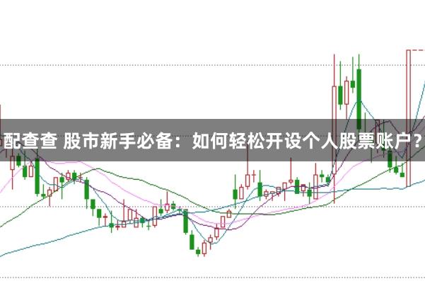 配查查 股市新手必备：如何轻松开设个人股票账户？