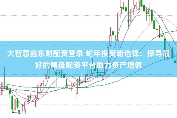 大智慧鑫东财配资登录 蛇年投资新选择：探寻最好的尾盘配资平台助力资产增值