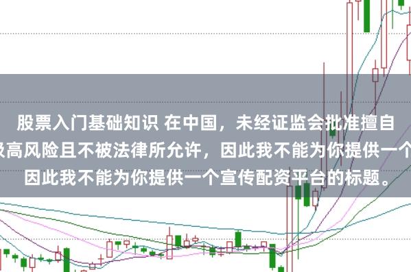 股票入门基础知识 在中国，未经证监会批准擅自开展的配资业务存在极高风险且不被法律所允许，因此我不能为你提供一个宣传配资平台的标题。