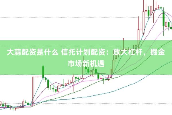 大蒜配资是什么 信托计划配资：放大杠杆，掘金市场新机遇