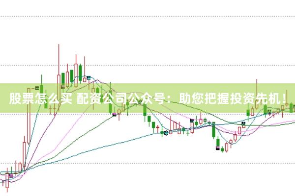 股票怎么买 配资公司公众号：助您把握投资先机！