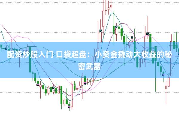 配资炒股入门 口袋超盘：小资金撬动大收益的秘密武器