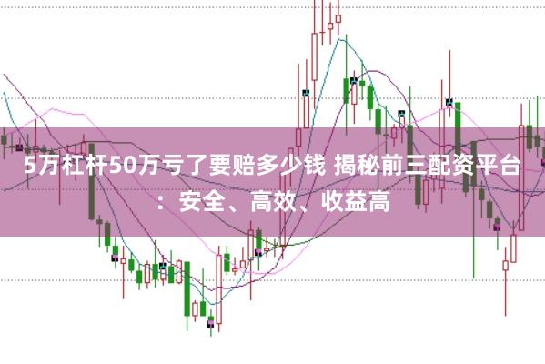 5万杠杆50万亏了要赔多少钱 揭秘前三配资平台：安全、高效、收益高
