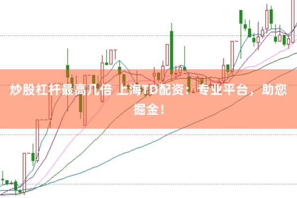 炒股杠杆最高几倍 上海TD配资：专业平台，助您掘金！