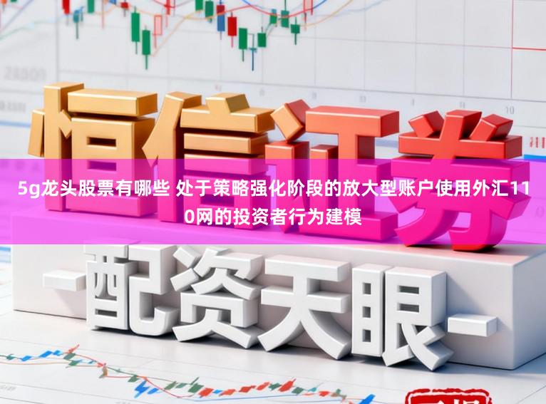 5g龙头股票有哪些 处于策略强化阶段的放大型账户使用外汇110网的投资者行为建模
